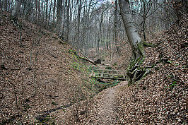 Bernhard Saalfeld - Tretschbachtal (9v9)